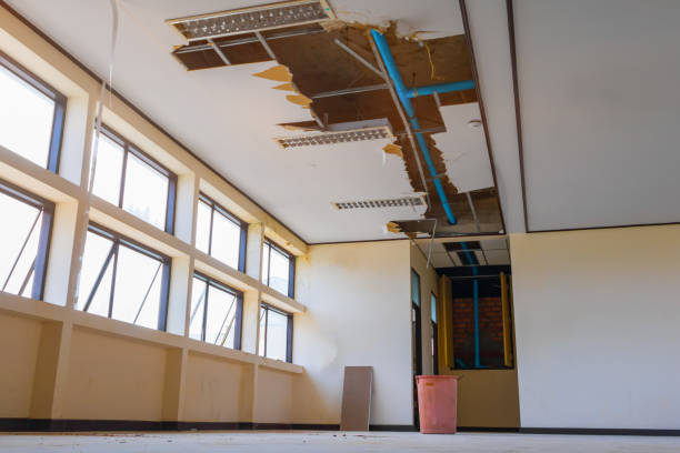 Best Water damage cleanup near me  in Branford Center, CT