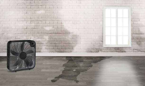 Local water damage restoration in CT