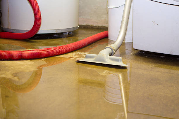 Best Fire Damage Restoration  in Branford Center, CT